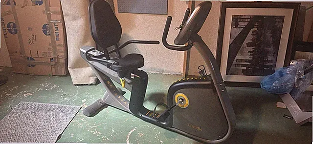 Livestrong Recumbent Bike
